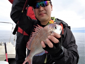 鯛紅丸 釣果