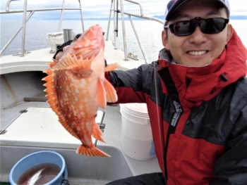 鯛紅丸 釣果