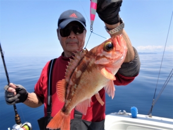 鯛紅丸 釣果