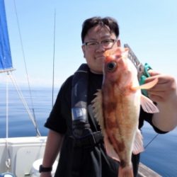 鯛紅丸 釣果