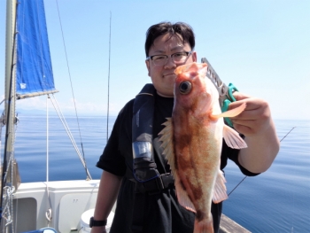 鯛紅丸 釣果