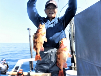 鯛紅丸 釣果