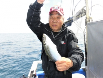 鯛紅丸 釣果