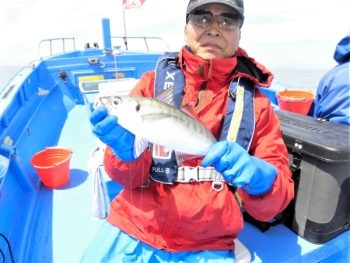 鯛紅丸 釣果