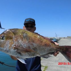 大進丸（新潟） 釣果