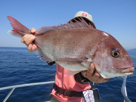 ジギング船 BLUEWATER 釣果