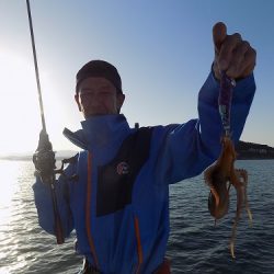 フィッシングボート空風（そらかぜ） 釣果