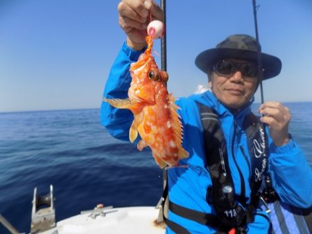 フィッシングボート空風（そらかぜ） 釣果