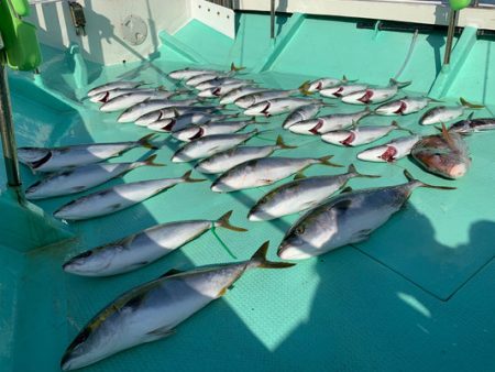 さんさん丸 釣果