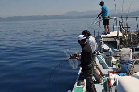 八海丸 釣果