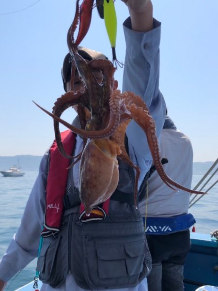 ヤザワ渡船 釣果