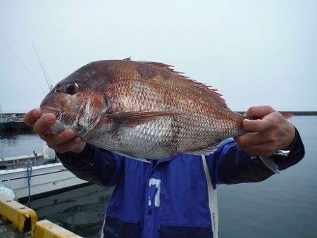 千代丸 釣果