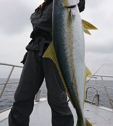 海龍丸（福岡） 釣果