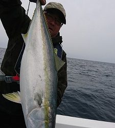 海龍丸（福岡） 釣果