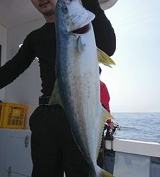 海龍丸（福岡） 釣果