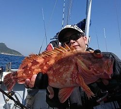 海龍丸（福岡） 釣果