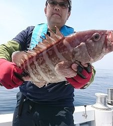 海龍丸（福岡） 釣果