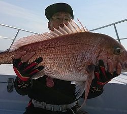 海龍丸（福岡） 釣果