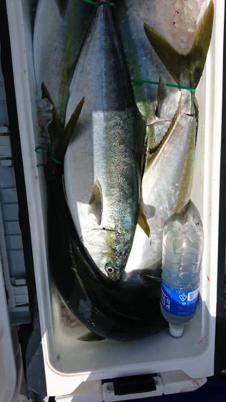 海龍丸（福岡） 釣果