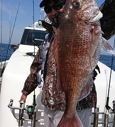 海龍丸（福岡） 釣果