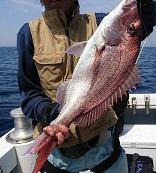 海龍丸（福岡） 釣果