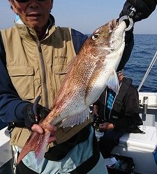 海龍丸（福岡） 釣果