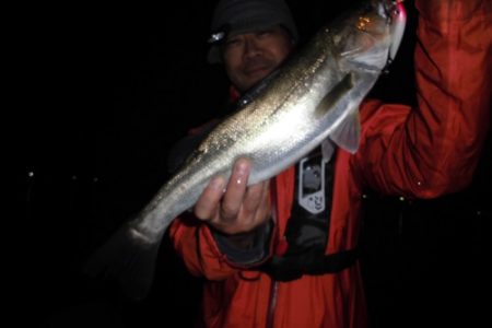 ルアー船マヒマヒ 釣果