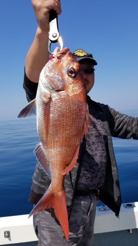 珀宝丸 釣果