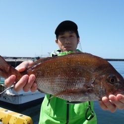 千代丸 釣果