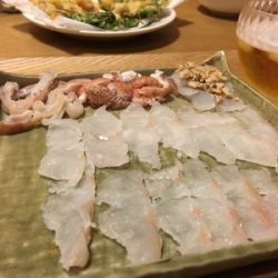 大宝丸 釣果