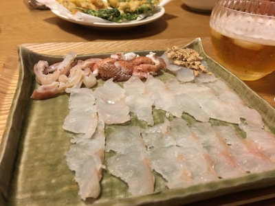 大宝丸 釣果