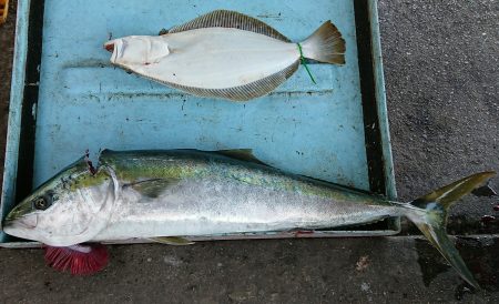 明神釣船 釣果