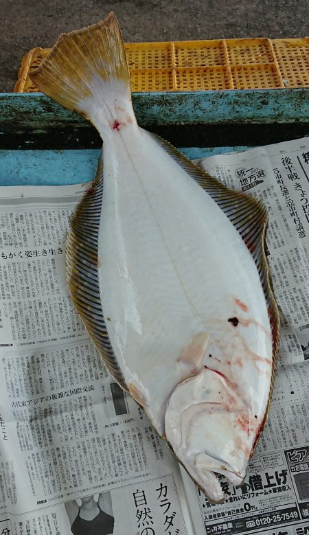 明神釣船 釣果