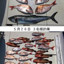 来温丸（らいおんまる） 釣果