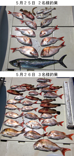 来温丸（らいおんまる） 釣果