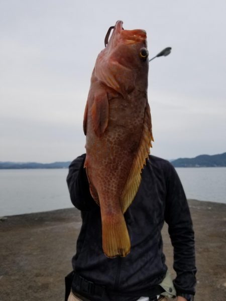 オーフリー 釣果