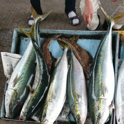 明神釣船 釣果