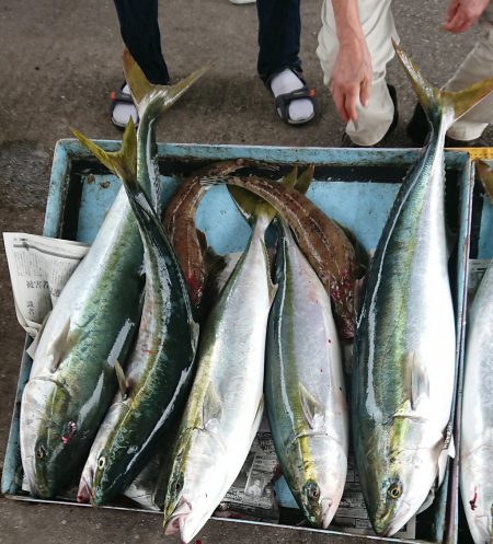 明神釣船 釣果