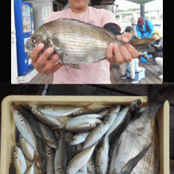 荒川屋 釣果