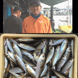 荒川屋 釣果