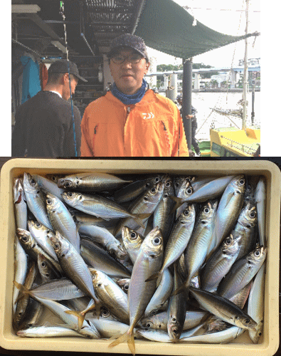 荒川屋 釣果