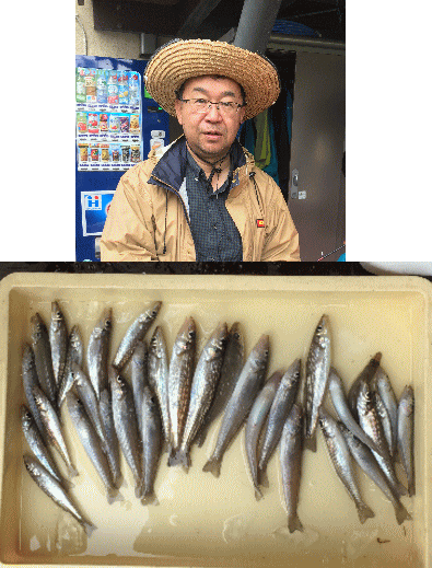 荒川屋 釣果