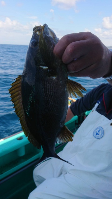 松栄丸 釣果