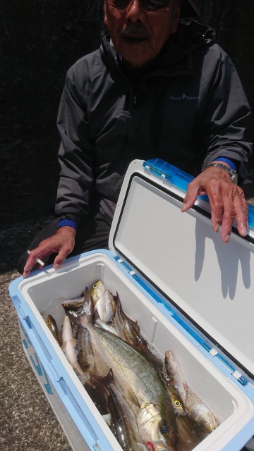 松栄丸 釣果