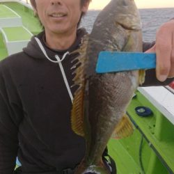 松栄丸 釣果