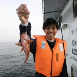 かもめ釣船 釣果