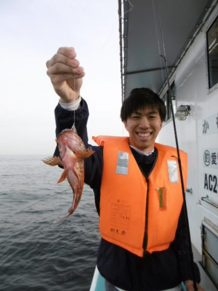 かもめ釣船 釣果