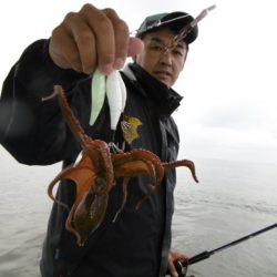 かもめ釣船 釣果