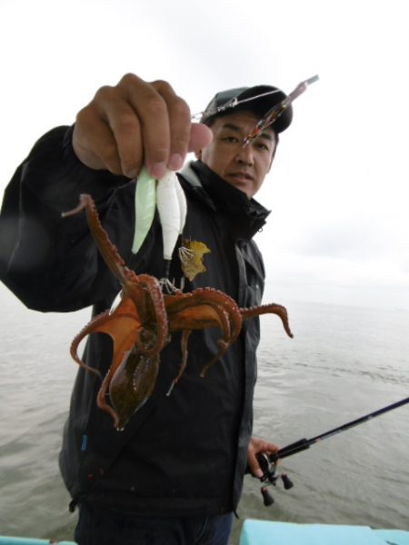 かもめ釣船 釣果