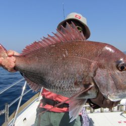 ジギング船 BLUEWATER 釣果